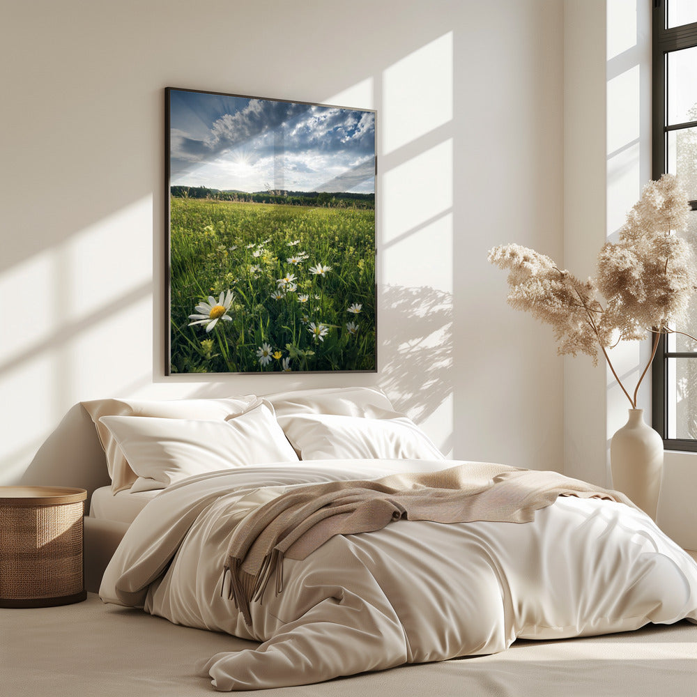 Blühende Wiese | Poster