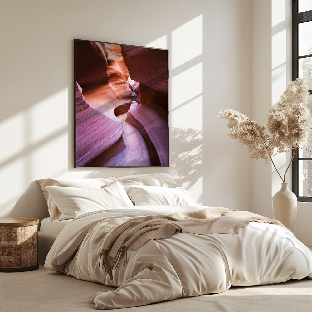 Lila Canyon | Poster