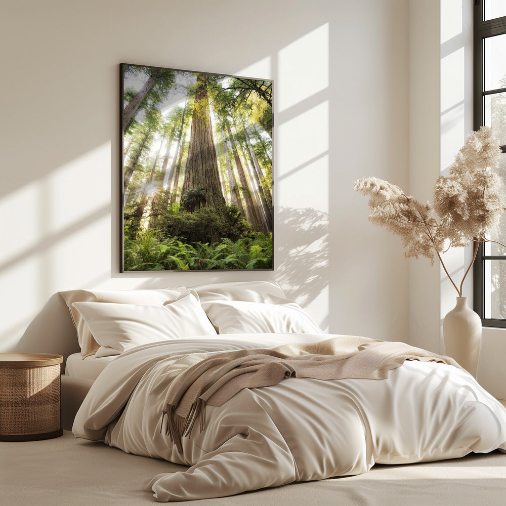 Beautiful Forest | Poster
