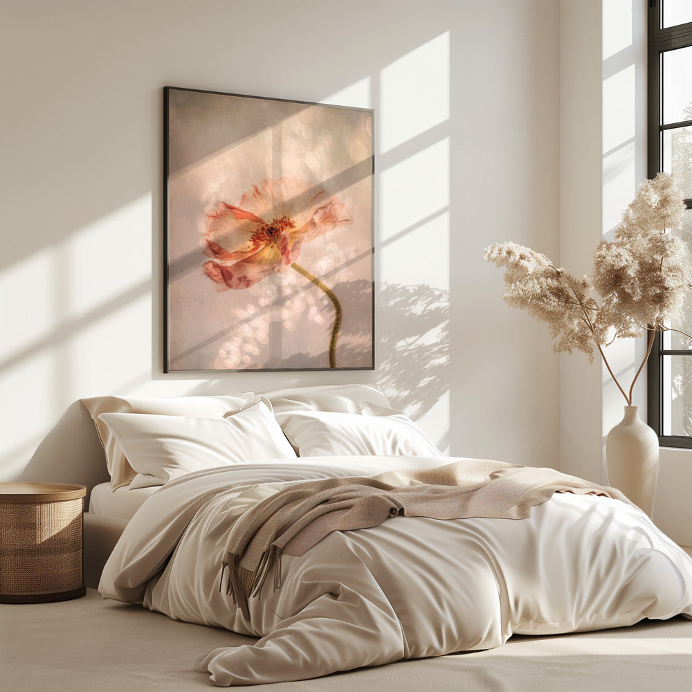 Strahlender Mohn | Poster