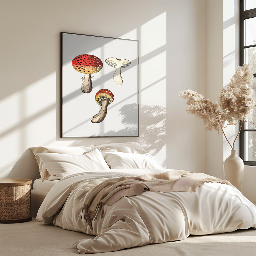 Hand Drawn Fly Agaric Mushroom | Poster