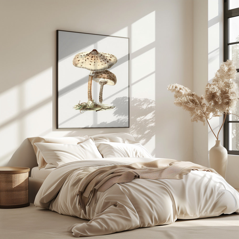 Hand Drawn Parasol Mushroom | Poster
