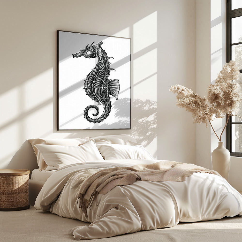 Seepferdchen | Poster