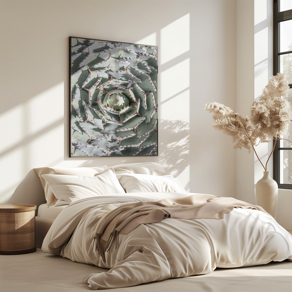 Spiral Succulent Maze | Poster