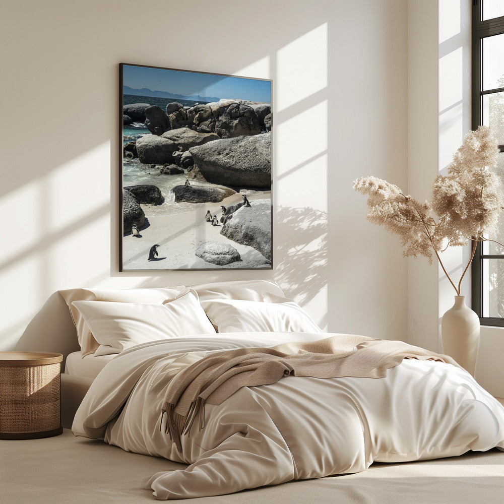 Pinguin-Bucht-Gelassenheit | Poster