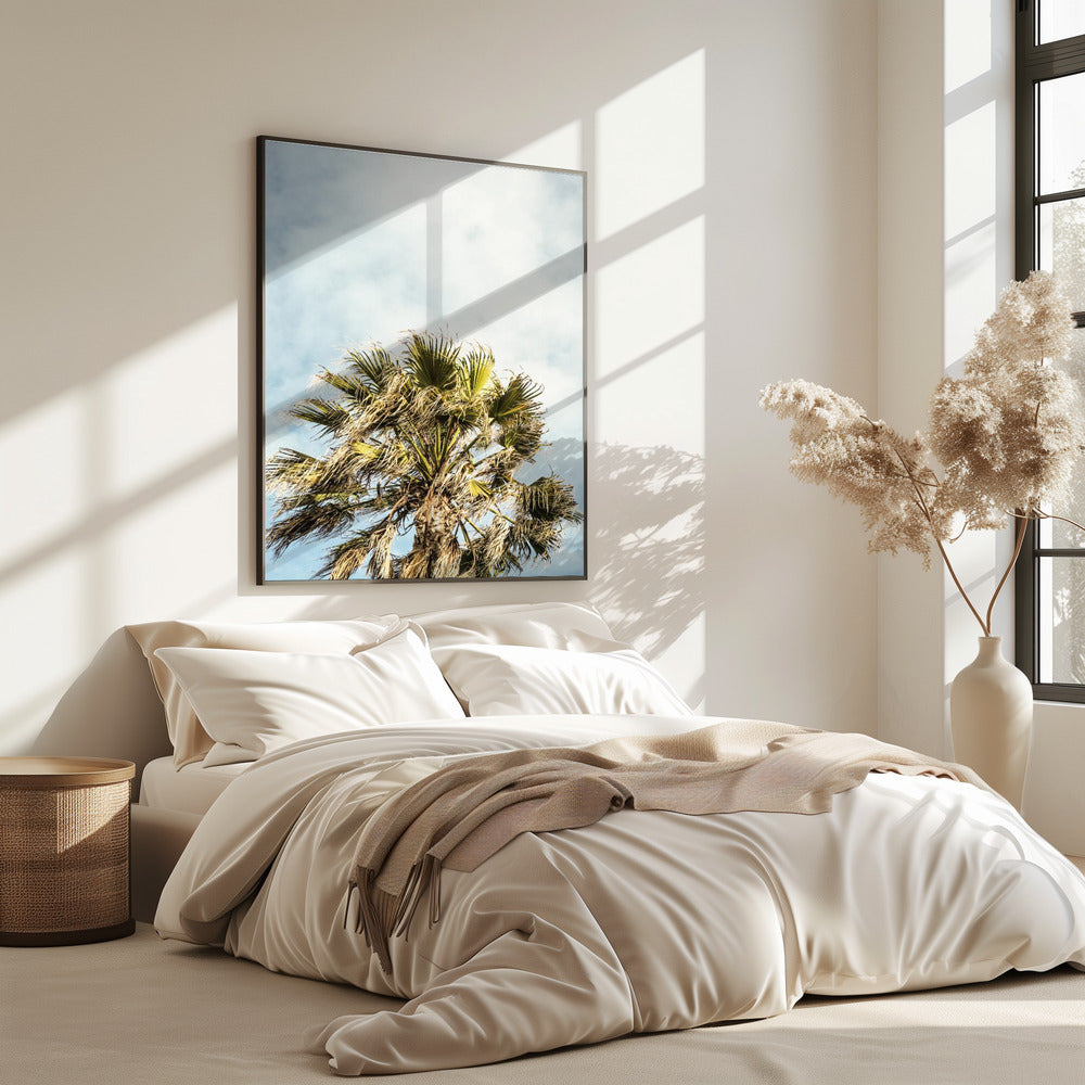 Sonnenbeschienene Wedel | Poster