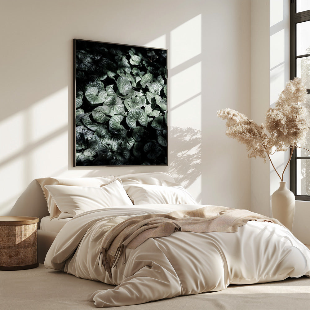 Blattschatten | Poster