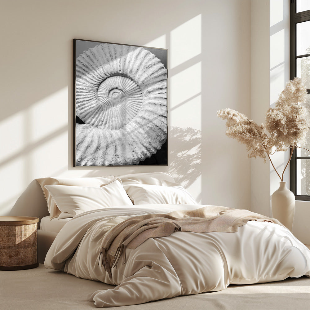 Uralte Spiralträume | Poster