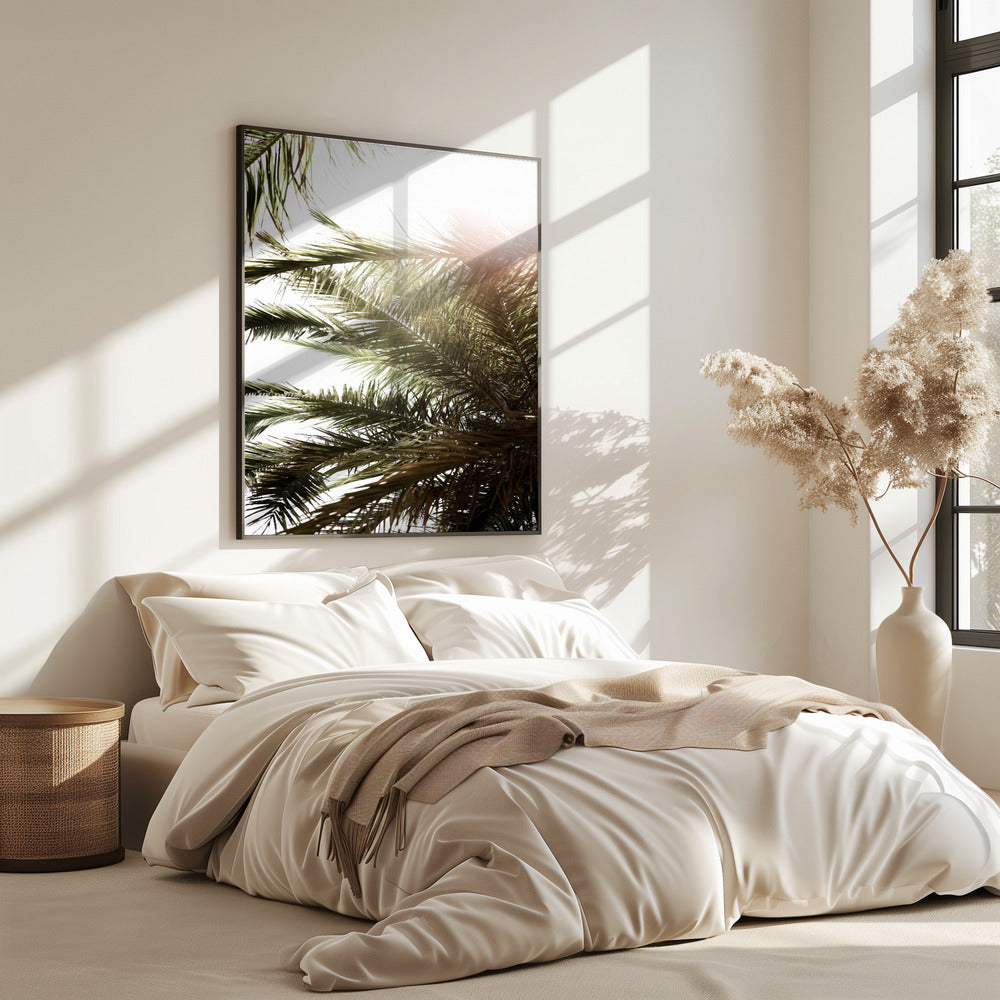 Sonnenbeschienenes Palmenglühen | Poster