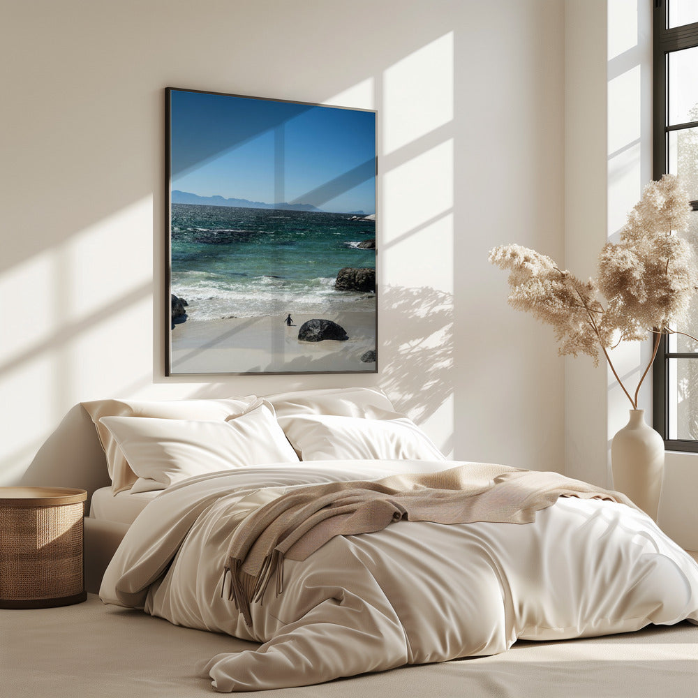 Pinguin-Strandspaziergang | Poster