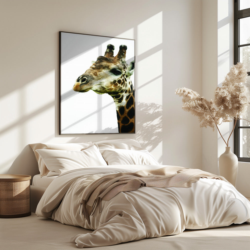 Giraffen-Gemälde | Poster