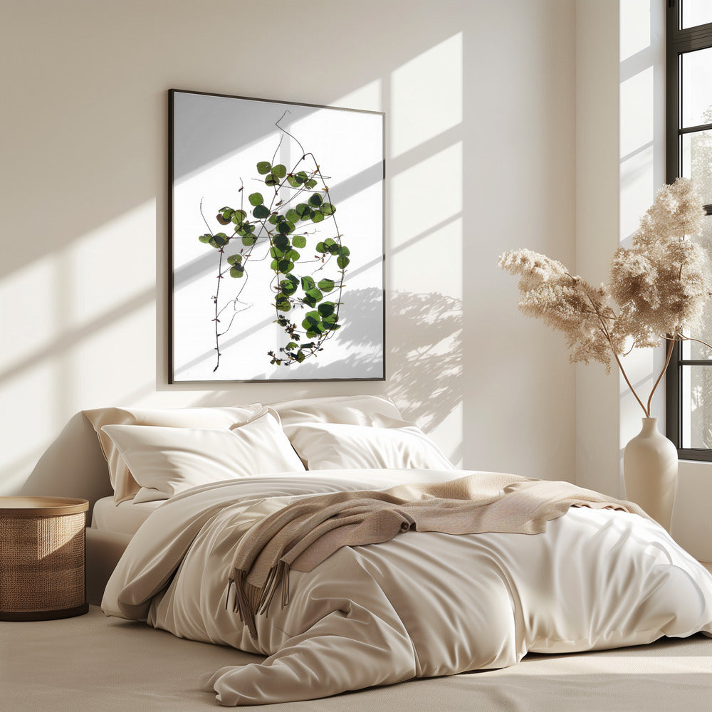 Vines Tanz | Poster