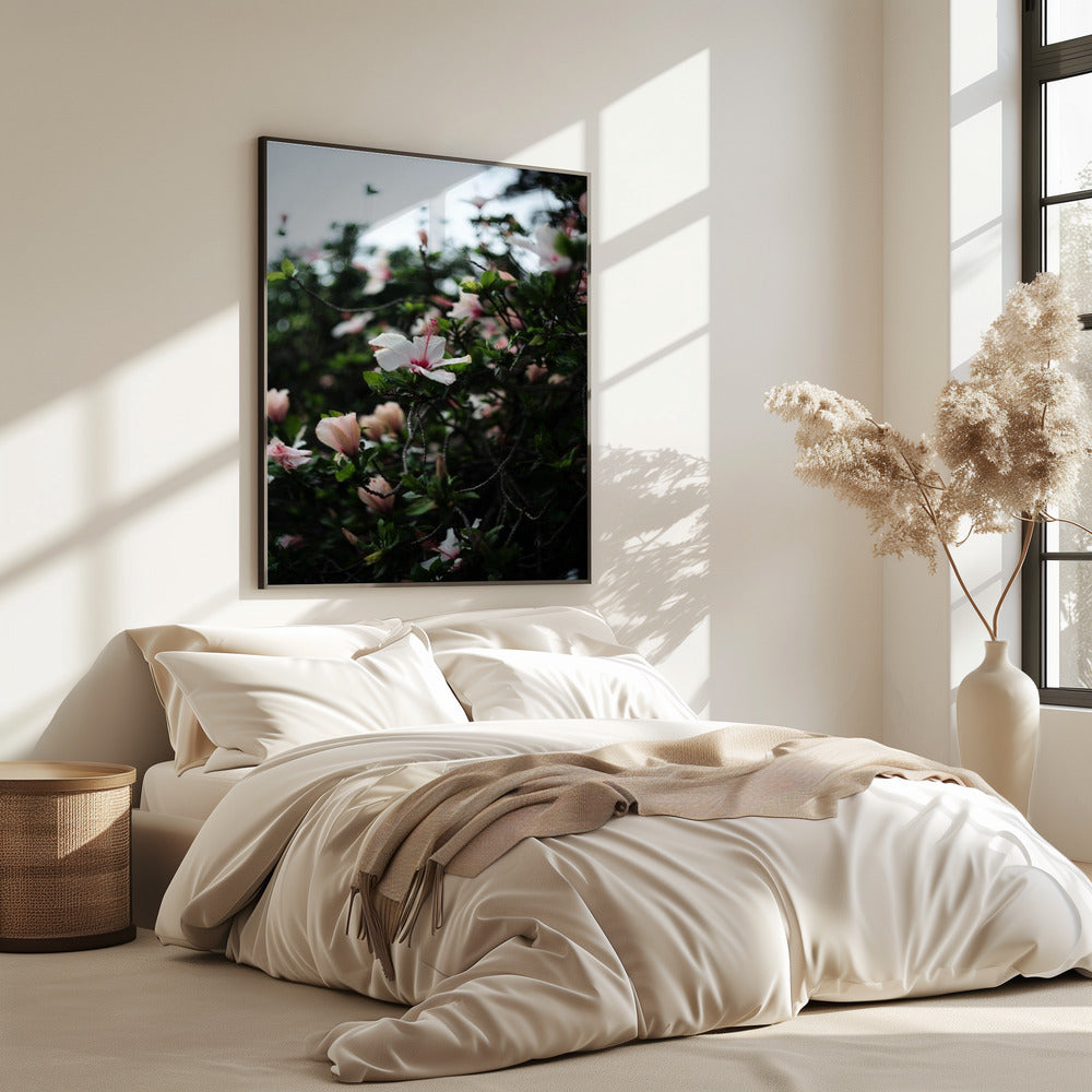 Blüten in voller Blüte | Poster