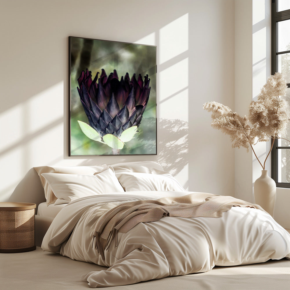 Schattenblüte | Poster