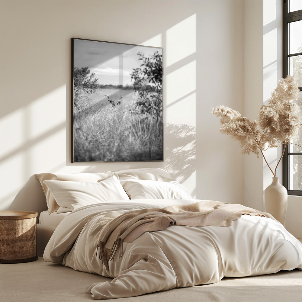 Versteckt im Gras | Poster