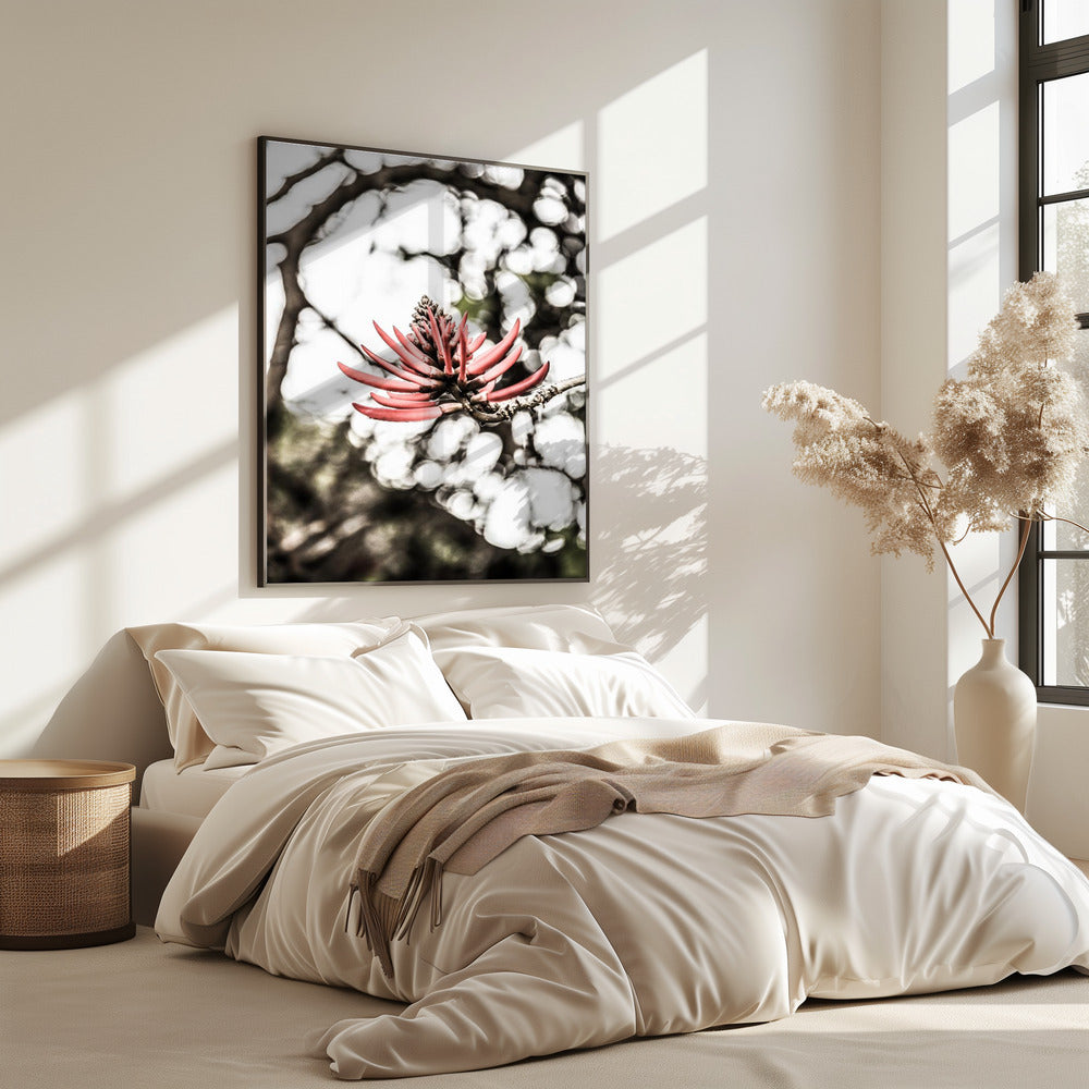 Purpurblüte | Poster