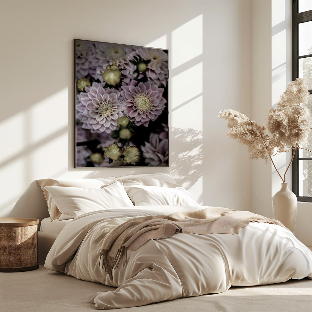 Blütenblätter in voller Blüte | Poster