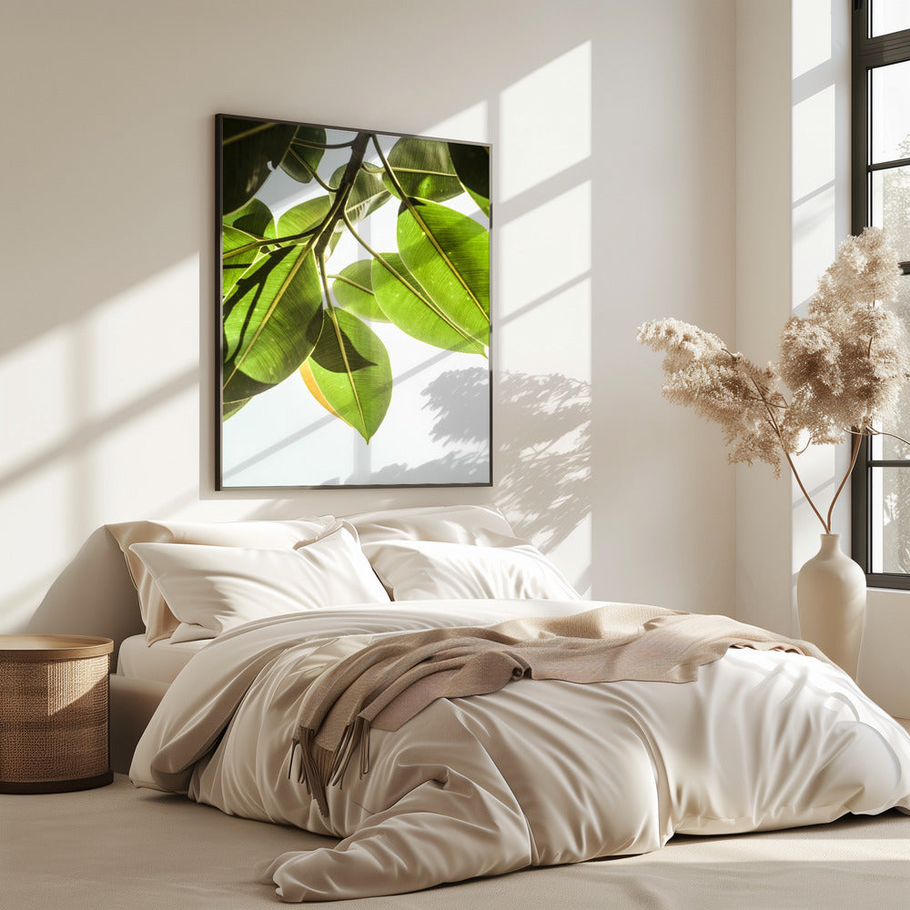 Sonnenbeschienene Blätter | Poster
