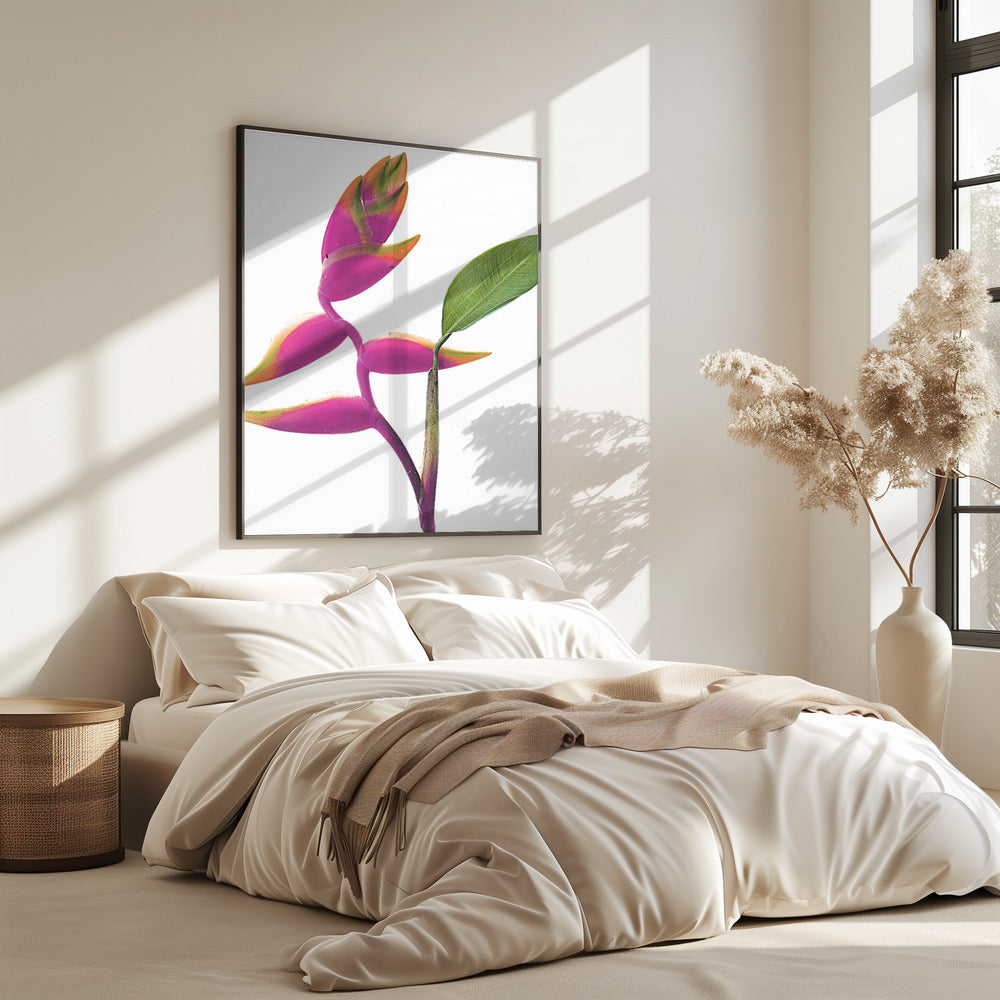 Tropische Eleganz | Poster