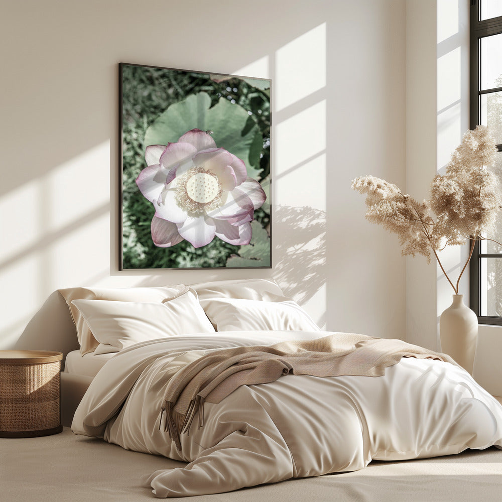 Lotus Gelassenheit | Poster