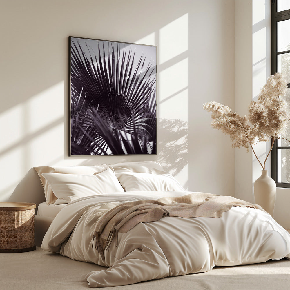 Palmengeflüster | Poster