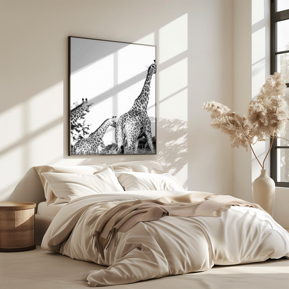 Giraffen-Familienspaziergang | Poster