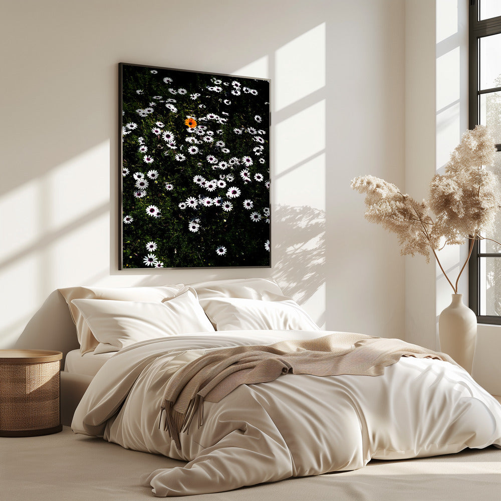 Einzigartige Blüte | Poster