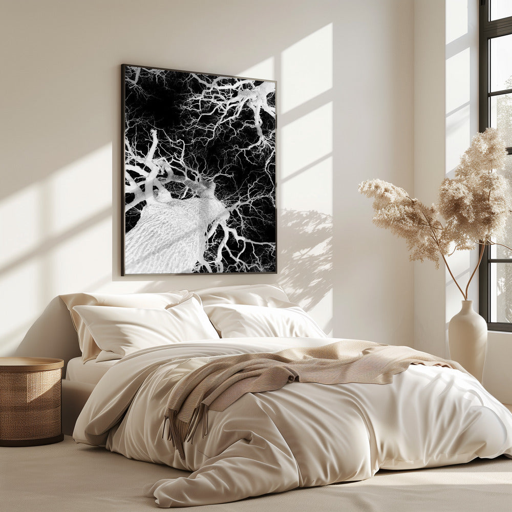 Winter's Veins | Poster