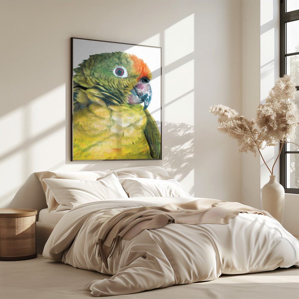 Lebhafter Papageienblick | Poster