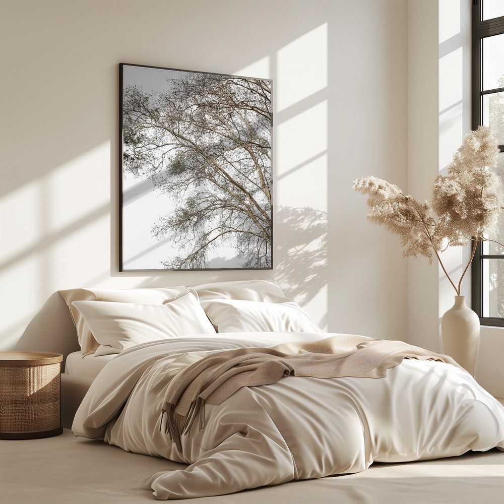 Flüsternde Zweige des Winters | Poster