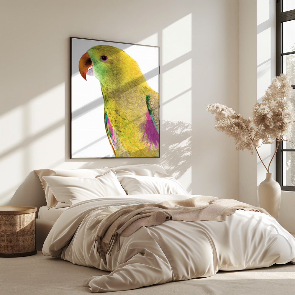 Lebendiges Papageienprofil | Poster