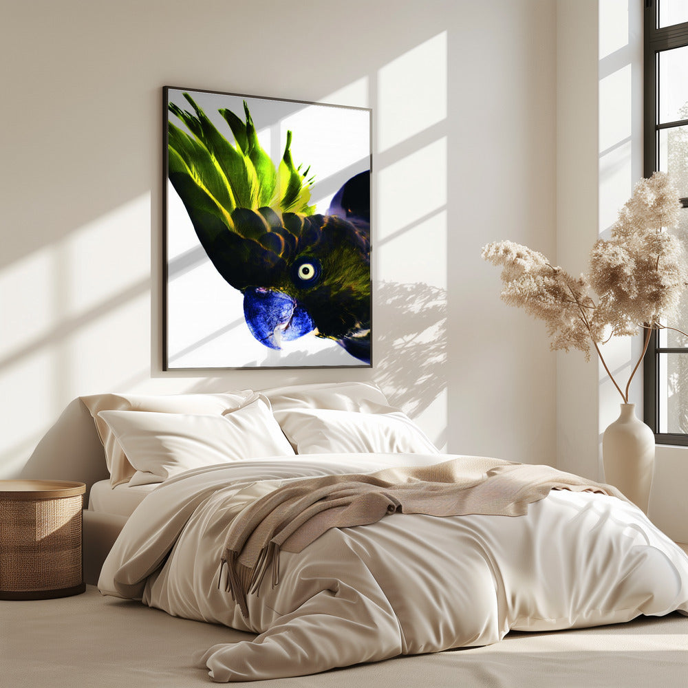 Lebendiger Vogelblick | Poster