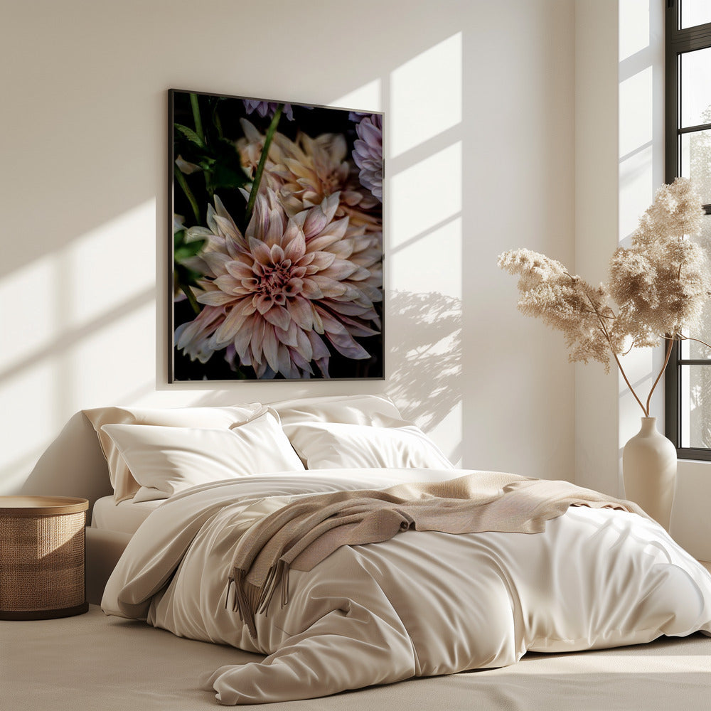 Blütenblätter in voller Blüte | Poster