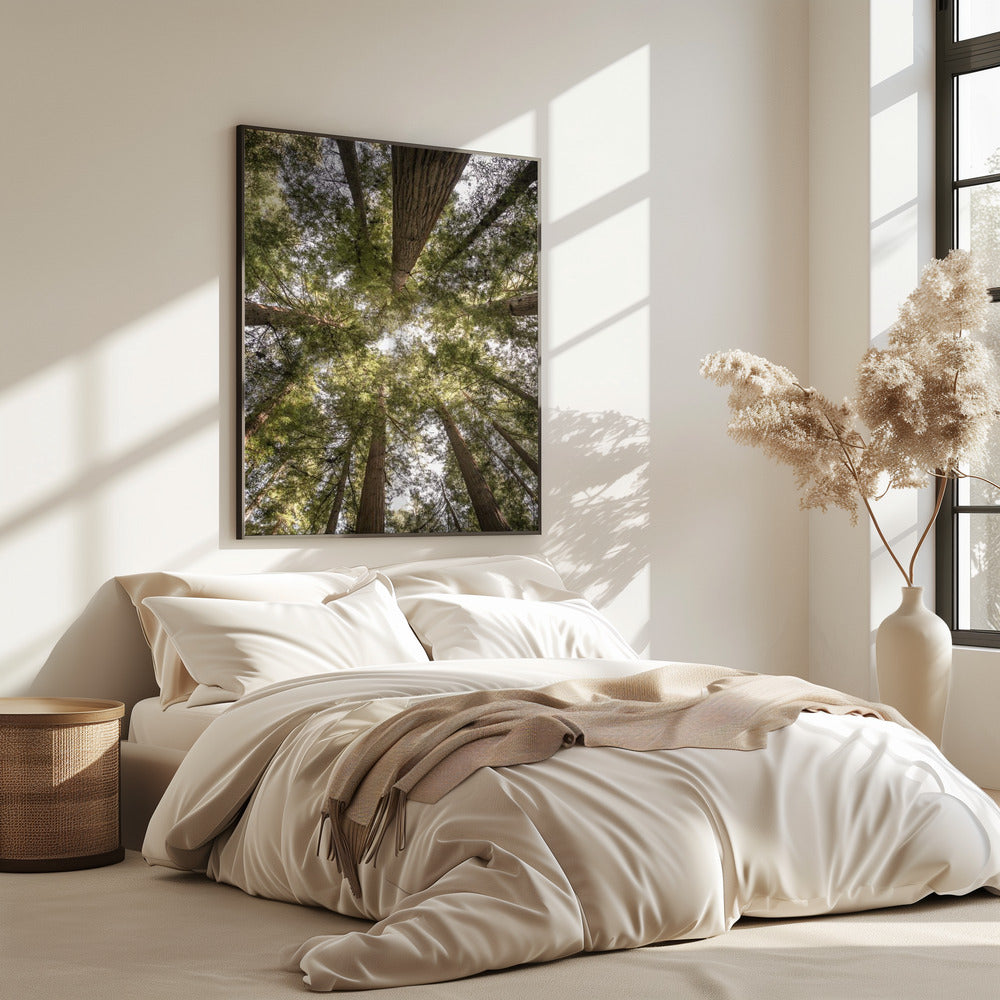 Beauty of Nature | Poster
