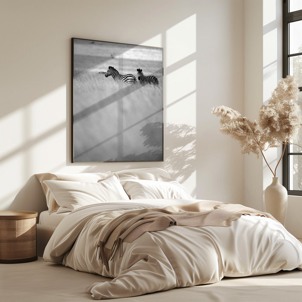 Zebras im Nebel | Poster