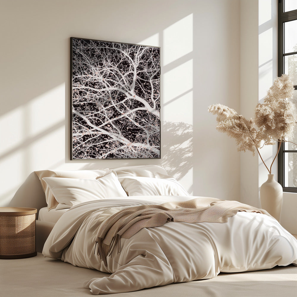 Tree Branches | Poster