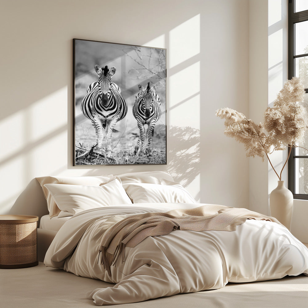 Gestreiftes Pferd vorne | Poster