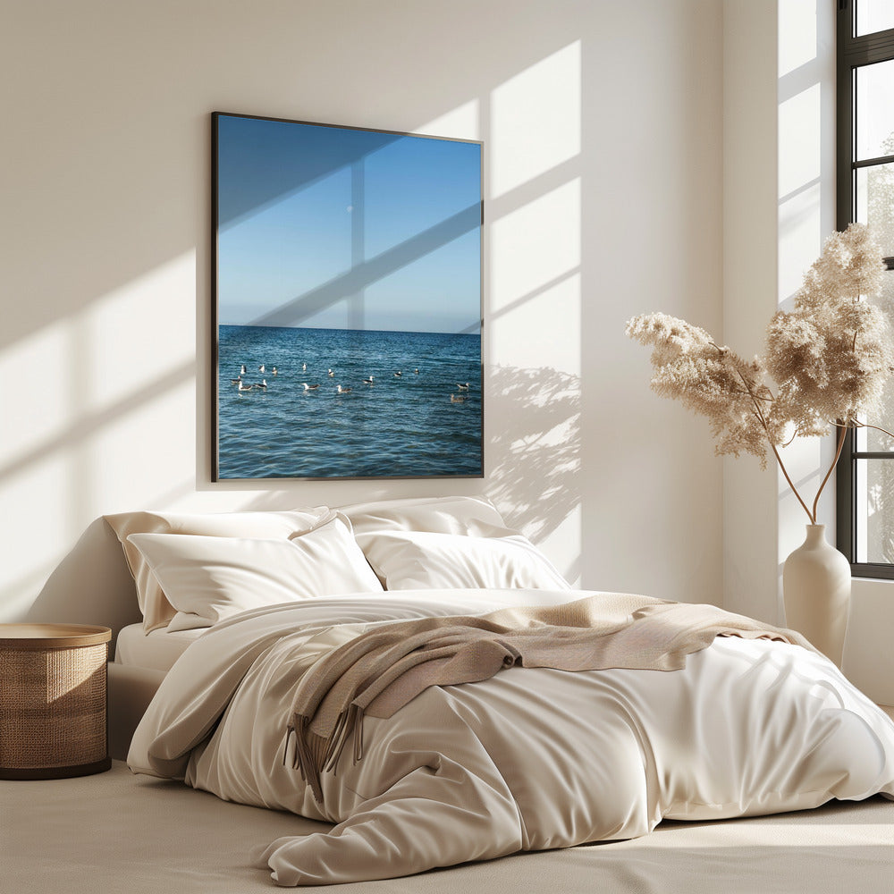 Moonlit Seabirds | Poster