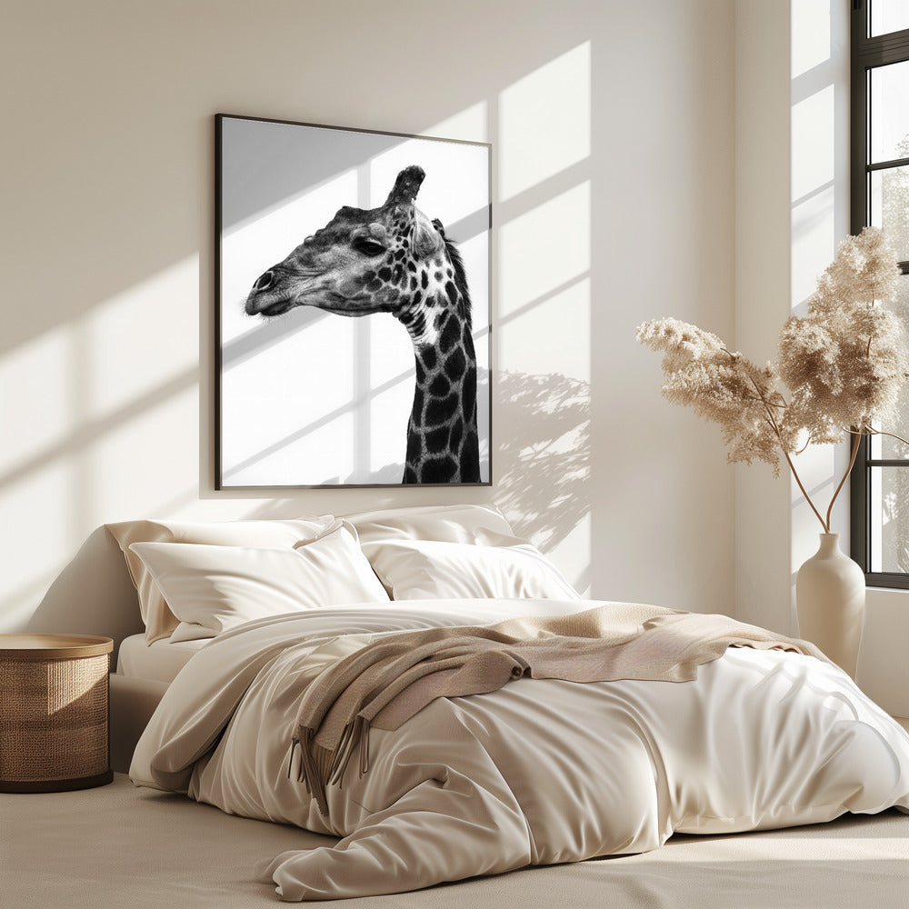 Komplizierte Muster der Giraffenhaut | Poster