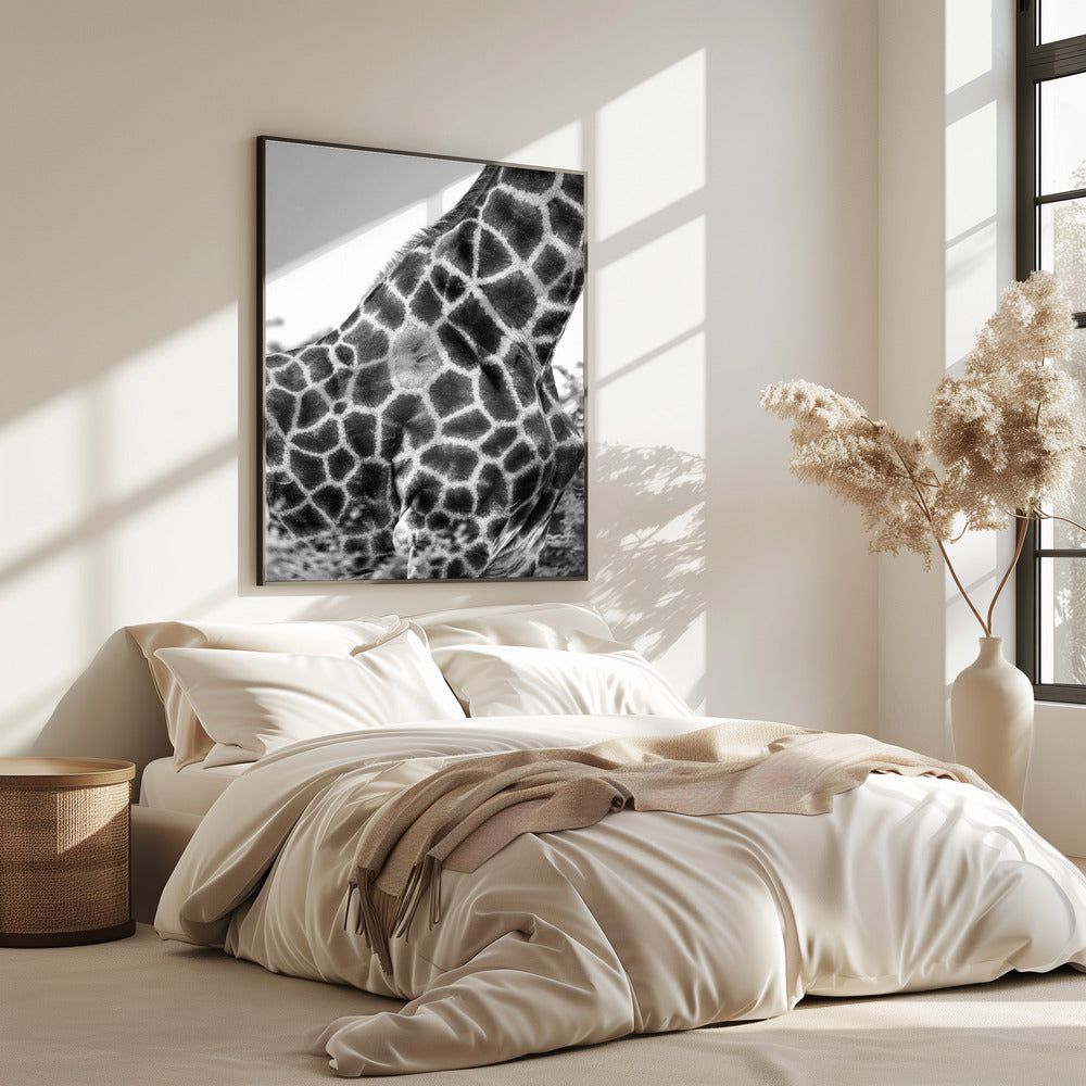 Intricate Patterns Of A Giraffe's Skin | Poster