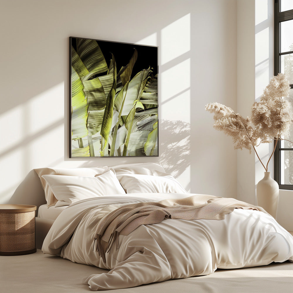 Banana Leaves In Soft Lighting | Poster