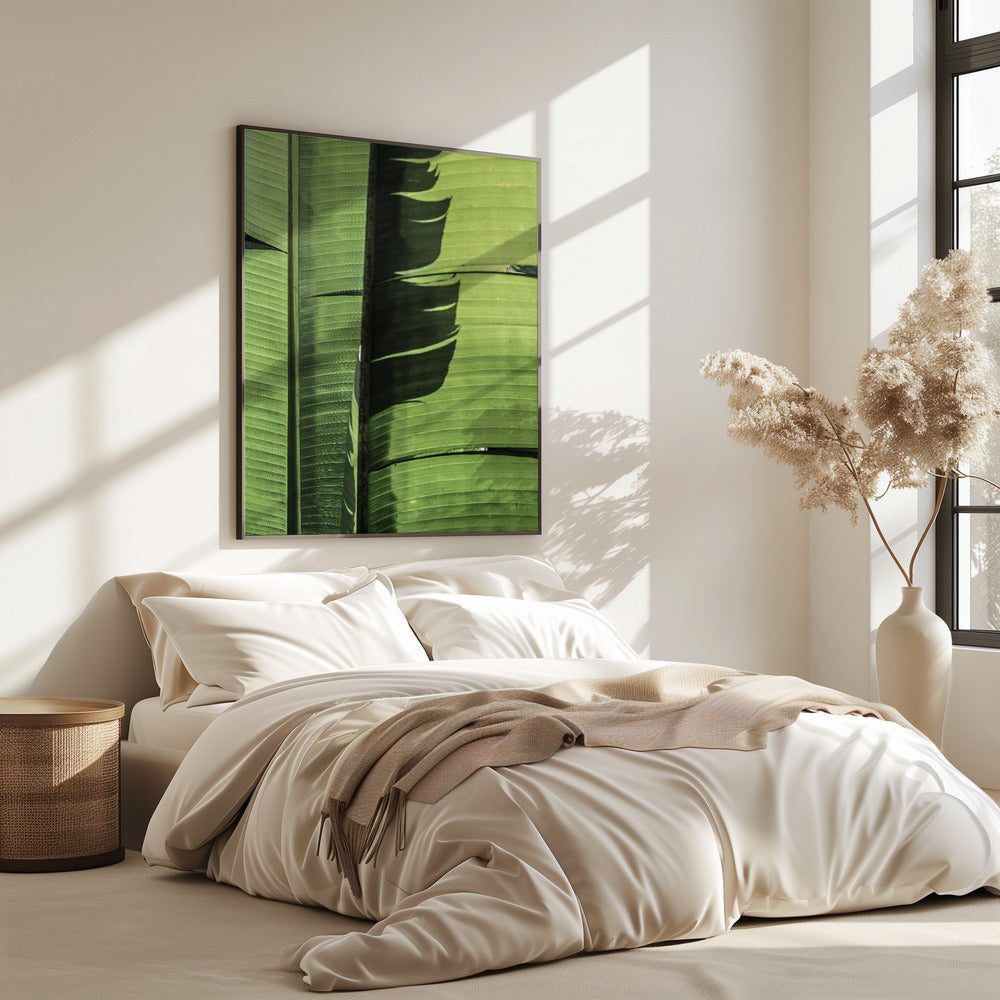 Tropical Banana Leaves | Poster