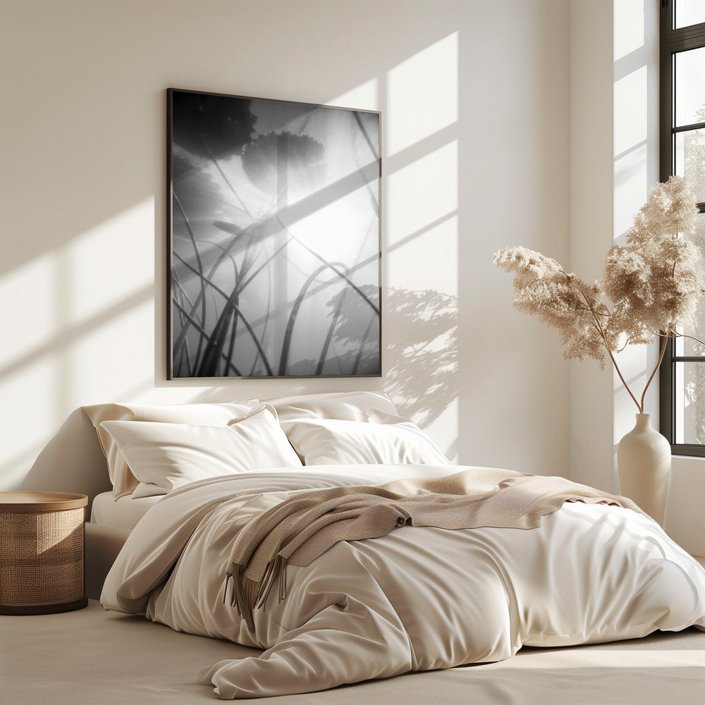 Seerose | Poster