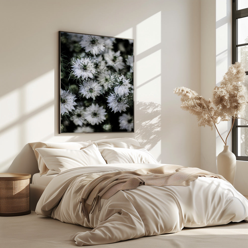 Flüsternde Blüten | Poster