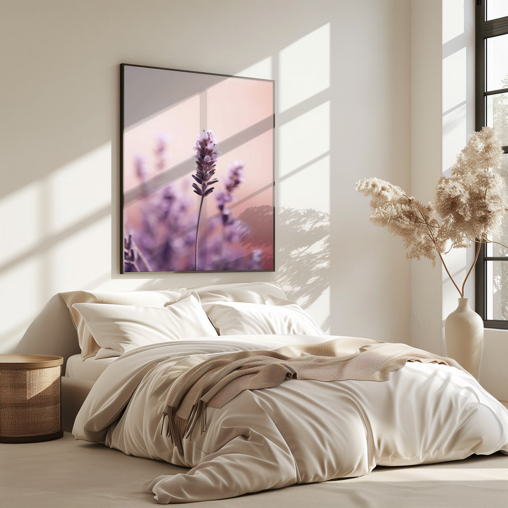 Lavendel-Gelassenheit | Poster