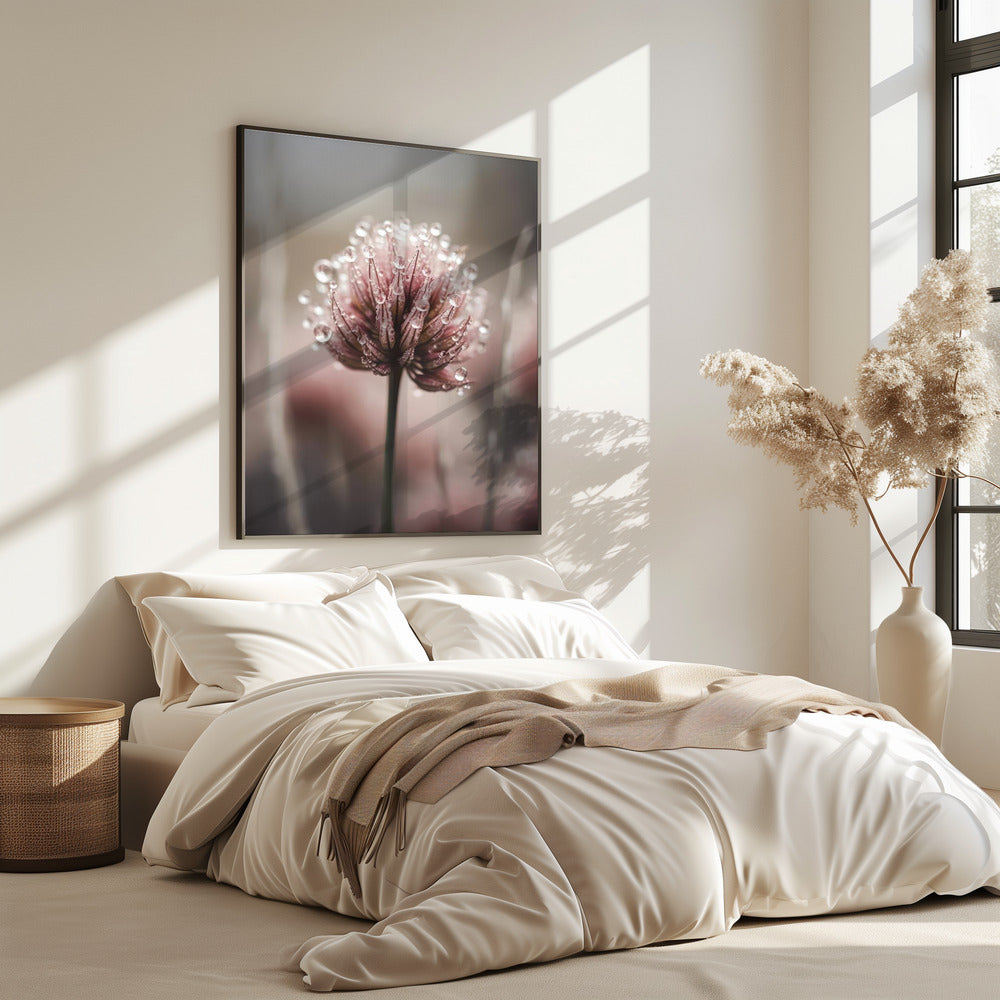 Taugeküsste Blüte | Poster