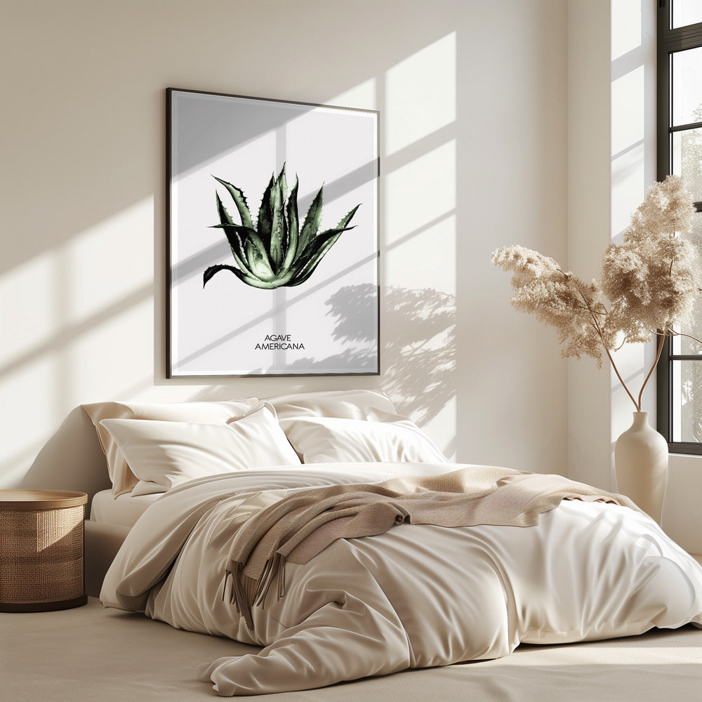 Grüne Agave Eleganz | Poster