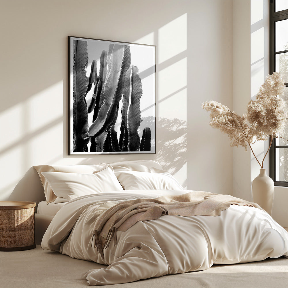 Cactus Elegance | Poster