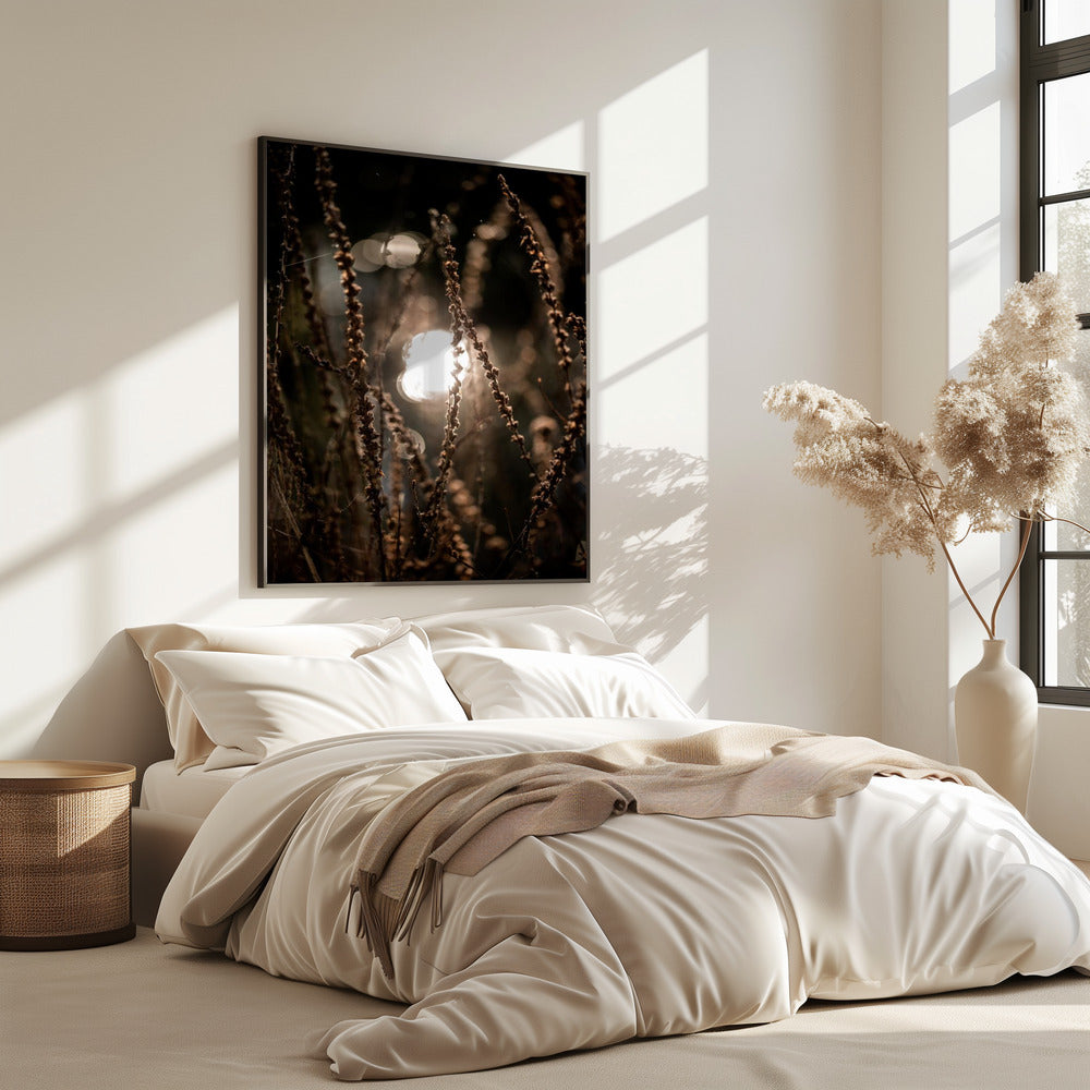 Herbstlichter 2 | Poster