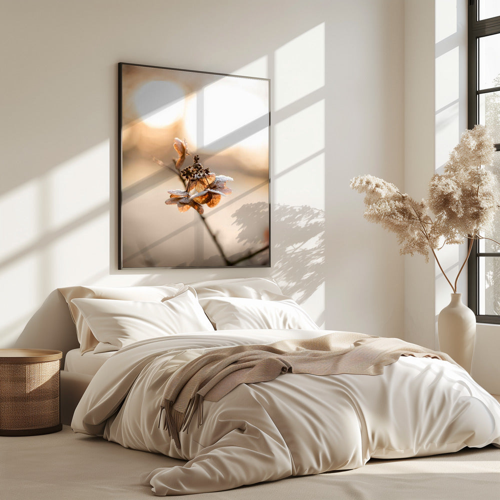 Hortensie 4 | Poster